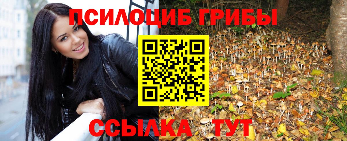Галлюциногенные грибы Psilocybine cubensis  Псилоцибиновые грибы MAGIC MUSHROOMS  Вход с VPN  Хасавюрт 