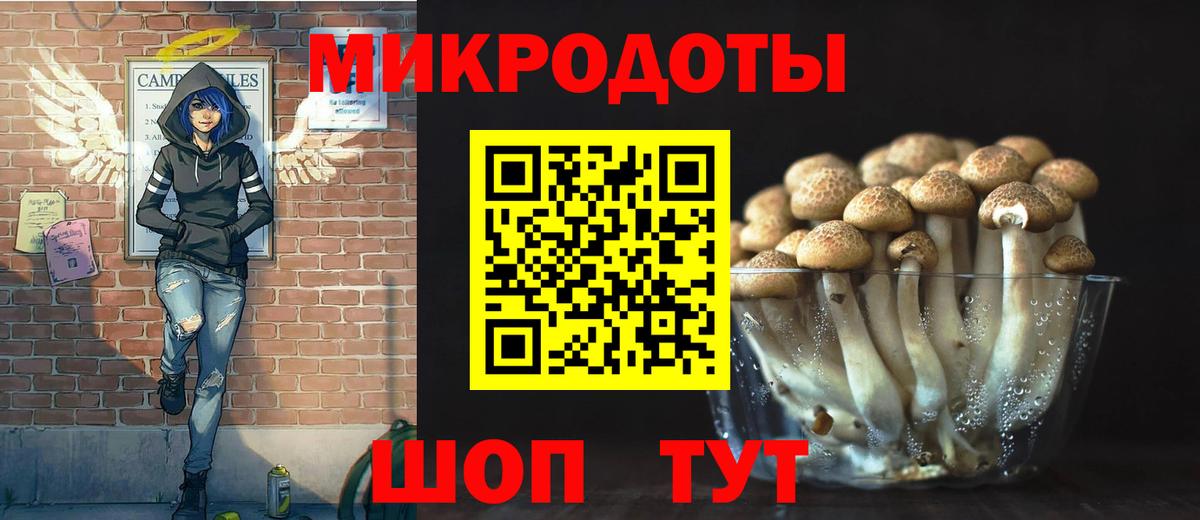 Псилоцибиновые грибы Psilocybe Хасавюрт